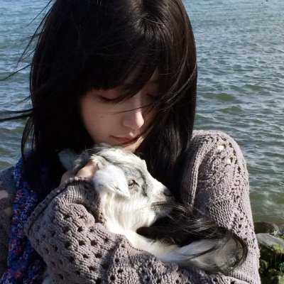 海军之翼